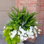 Beautiful and Functional Small Vegetable Garden Designs and Layouts for Your Outdoor Space