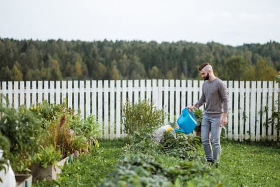 Front Yard Landscaping Ideas for Ranch Homes 5 Charming front yard landscaping ideas for ranch homes: Sustainable gardens, drought-tolerant plants, and native landscaping