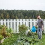 Landscape Ideas for Large Areas Transform Your Yard: Landscape Ideas for Large Areas