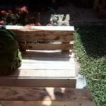 Contemporary Garden Designs and Layouts Vibrant and innovative contemporary garden designs and layouts combining modern elements with natural beauty