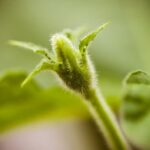 Drought Landscape Ideas Creative xeriscaping for drought landscape ideas, utilizing desert plants and decorative rock features