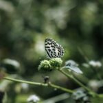 Landscaping Water Feature Ideas Discover inspiring landscaping water feature ideas for your outdoor space. Create a peaceful oasis with our designs