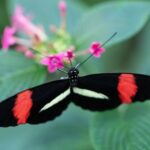 Transform your side yard with these innovative landscaping ideas