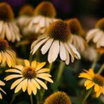 Easy Acrylic Painting Ideas for Beginners Landscape Easy acrylic landscape painting ideas for beginners: serene nature scenes, simple techniques, and step-by-step instructions