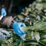 Landscape Path Ideas Inspiring Landscape Path Ideas: 10 Beautiful Pathway Designs to Transform Your Outdoor Space