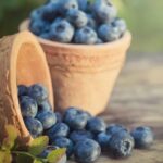 Small garden landscaping ideas: maximizing space, beautiful container gardening, and vertical gardening for small spaces