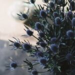 Maiden Grass Landscaping Ideas Stunning Maiden Grass Landscaping Ideas: Incorporating Ornamental Grass for a Picturesque Garden Design