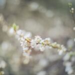 Shady Landscape Ideas Shady landscape ideas: planting shade-loving foliage, creating dappled light, and utilizing natural features for a cool retreat