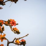 Backyard Landscape Ideas Backyard Landscape Ideas: Transform Your Outdoor Space with These Creative Design Concepts