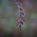 North Carolina Landscape Ideas Explore stunning North Carolina landscape ideas for your outdoor spaces