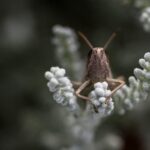 Landscaping Ideas Around Trees Enhance Your Yard: Beautiful Landscaping Ideas Around Trees