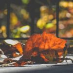 Diy Garden Landscaping Ideas DIY garden landscaping ideas: Transform your outdoor space with these creative and budget-friendly projects