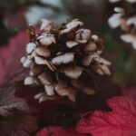 Front Landscaping Ideas: Creative garden designs to enhance your home's curb appeal