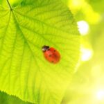 Creative landscaping business names for inspiration and innovation - IDEAS FOR LANDSCAPING NAMES