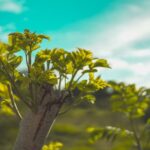 Stunning garden designs and outdoor spaces: Awesome Landscaping Ideas to transform your home's exterior