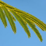 Ideas for Water Fountains in Landscapes Ideas for Water Fountains in Landscapes: Incorporating Relaxing Fountain Features into Outdoor Designs