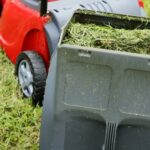 Landscaping Ideas With Large Rocks Stunning Landscaping Ideas with Large Rocks for Your Outdoor Space