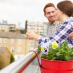 Tranquil Japanese garden with koi pond and stone lantern, great for Japanese gardening ideas