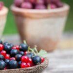 Better Homes and Gardens Flower Pot Ideas BETTER HOMES AND GARDENS FLOWER POT IDEAS: Creative ways to display beautiful blooms in your outdoor space