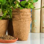 Explore unique container gardening ideas for urban spaces