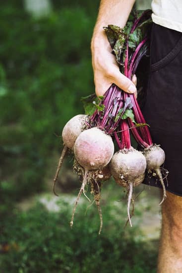 Bag Gardening Ideas 3 Vertical hanging bag gardening ideas for small spaces and urban living
