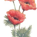 Explore creative gardening layout ideas for your outdoor space. #gardeninglayoutideas