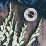 Container vegetable gardening: Tips, plans, and inspiration for a successful small-space garden