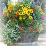 Edging Ideas for Rock Gardens Creative Rock Garden Edging Ideas: Enhance Your Landscape with Unique Designs