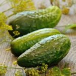 Gardening in Pots Ideas Creative Gardening in Pots Ideas: Transform Your Space with Beautiful Container Plants