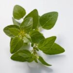 Halloween Gardening Ideas Spooky Pumpkin Patch: Halloween Gardening Ideas