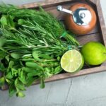 Easy Diy Gardening Ideas Simple gardening projects for beginners: EASY DIY GARDENING IDEAS for small spaces and budget-friendly inspiration