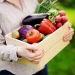 Vibrant Container Gardening Ideas for Flowers - Bring Color to Your Outdoor Space