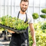 Gardening Ideas for Tree Stumps Gardening ideas for tree stumps: repurpose as planters, create seating, or use for decorative displays