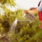 Ideas for Small Front Gardens Uk Creative landscaping for small UK front gardens: maximizing space with plants, patio, and pathways