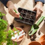 Border Gardens Ideas Border Gardens Ideas: Colorful flower arrangements along garden edges, creating a vibrant and natural border