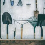 Cheap Container Gardening Ideas Affordable gardening tips for small spaces: Cheap container gardening ideas for urban dwellers