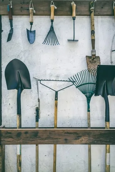Affordable gardening tips for small spaces: Cheap container gardening ideas for urban dwellers