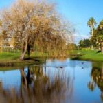 Backyard Designs Ideas with Gardens: A serene outdoor oasis with lush greenery and beautiful landscaping