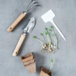 Creative and space-saving Gardening in Containers Ideas for Urban Gardens