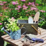 Better Homes and Gardens Christmas Ideas 2022 Get inspired with Better Homes and Gardens Christmas Ideas 2022 for your holiday home décor