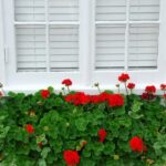 Explore creative gardening at home ideas for beautiful and sustainable outdoor spaces