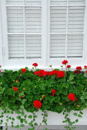 Gardening at Home Ideas 1 Explore creative gardening at home ideas for beautiful and sustainable outdoor spaces