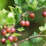 Do It Yourself Diy Ideas Better Homes and Gardens DIY Ideas for Better Homes and Gardens: Creative Do-It-Yourself Projects for Home and Garden Improvement