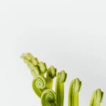 Gardening Bullet Journal Ideas: Creative layouts, plant trackers, and seasonal tips for your journal