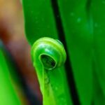 Miniature Gardens Ideas MINIATURE GARDENS IDEAS: Creative DIY projects for small-scale outdoor and indoor gardens