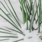 Gardeners Gift Ideas A variety of thoughtful and practical gardeners' gift ideas for every occasion