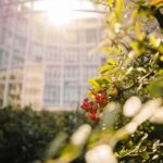 Fish Pond Ideas for Small Gardens Transform a small space with these fish pond ideas for small gardens: FISH POND IDEAS FOR SMALL GARDENS
