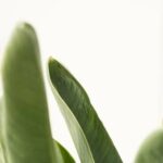 Milk Crate Gardening Ideas Creative Milk Crate Garden Ideas for Urban Spaces