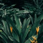 Hard Landscaping Ideas for Small Gardens Small garden hard landscaping: creative designs for limited space