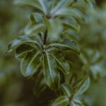 Small Flower Gardens Ideas Beautiful Small Flower Gardens Ideas: Perfect for compact spaces with colorful blooms and creative designs